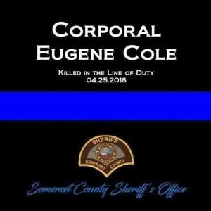 Meet your Posher, Shauna